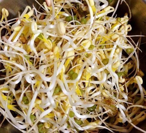 绿豆芽|绿豆芽和黄豆芽,营养上有区别吗?营养师:脂肪含量相差十几倍