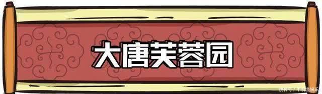 流光溢彩|春节不打烊!西安7大热门景区开放时间请收好!