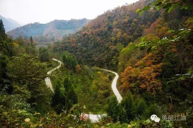 风动|【创建天府旅游名县】色在深秋，风动叶飘零，李白故里美色迷人，要你好看！