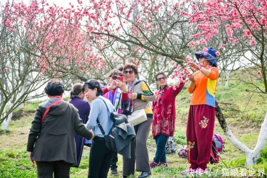 中年|打卡拍照赶紧出发吧秀丽东方桃花开了还有西南最大冰岛虞美人花海