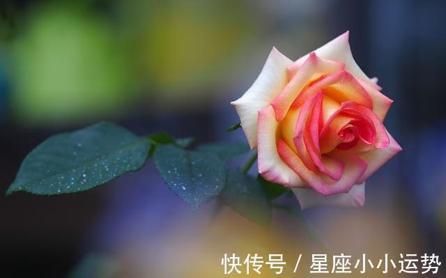 蛇生性|未来15天,缘分与桃花全心全意,爱情来临春暖花开的3生肖