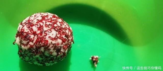 它取代了传统冬钓虫饵,还不给渔具店1分钱,详解——红虫白饵