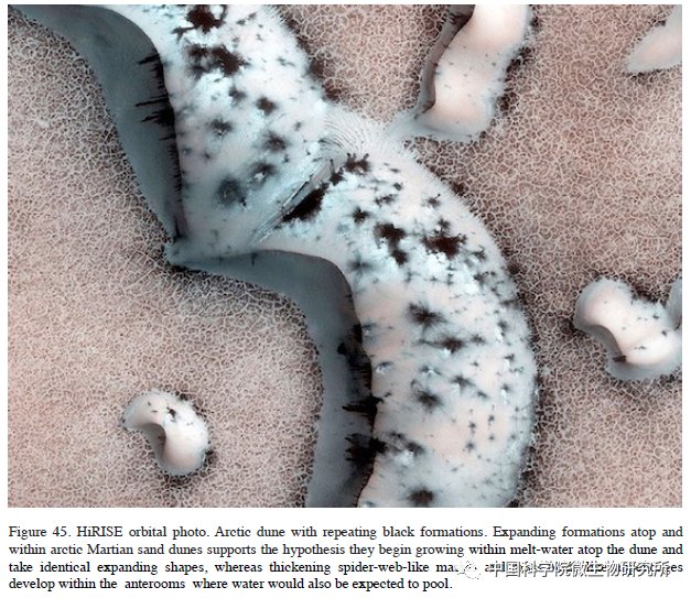 非生物 火星上存在真菌吗？