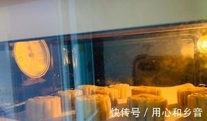乳状|广式月饼（自制很简单）！