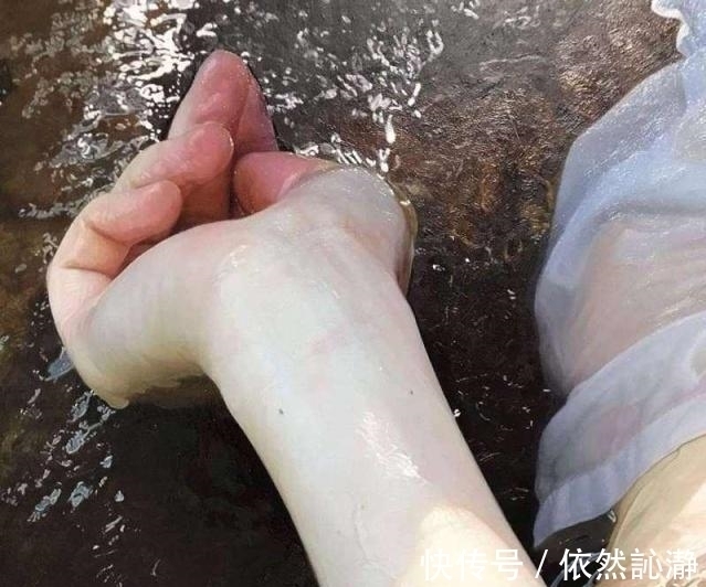 放大20倍@日本画家一幅水中少女,放大20倍观赏,观众脸红了