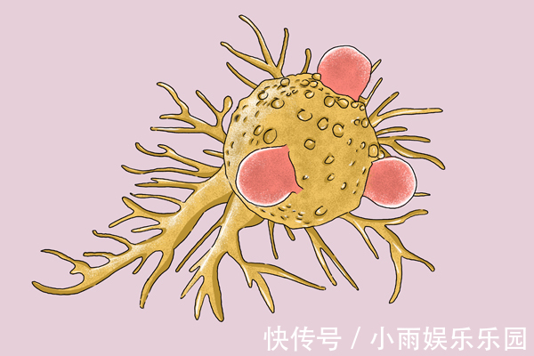 指标|癌症治好后,请留意4个指标,无异常,说明复发的几率或微乎其微