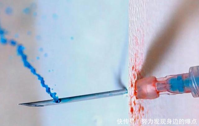 麻醉剂是如何工作的？将镜头放慢100倍，答案显而易见！