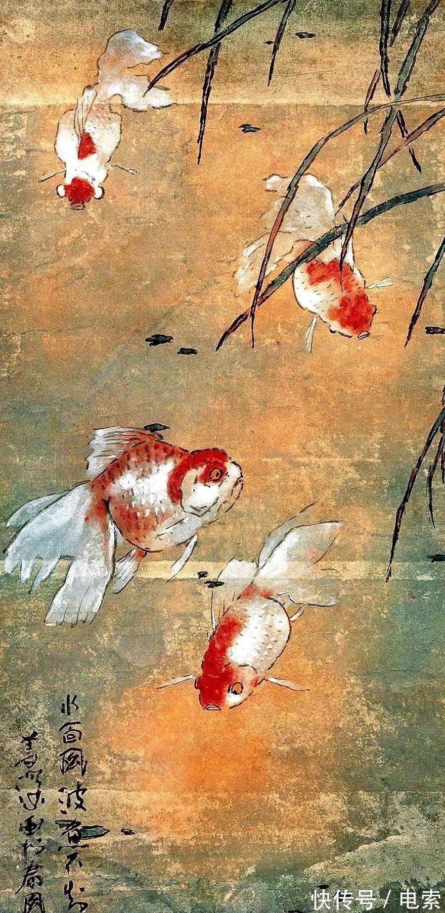 赵少昂|杨善深作品欣赏