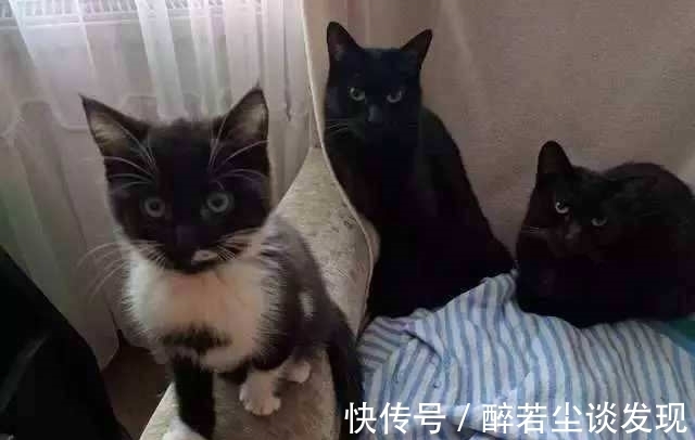 |爆笑段子：老师，她要逃课，我帮你拽着的！