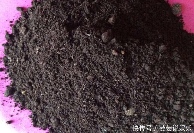 有机肥|养花用什么土好这样“用土”，土不板结，茁壮生长，开花很旺
