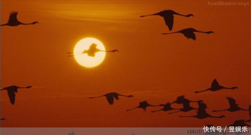 《这个冬月不再冷》作者:梦之蓝 主播:读你