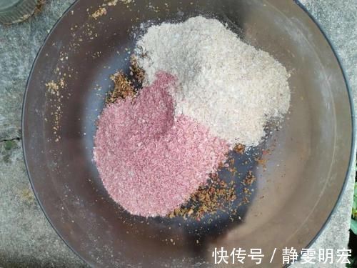天然的钓饵“添加剂”，鲫鱼喜欢吃，鲤鱼抢着吃，你用过吗？