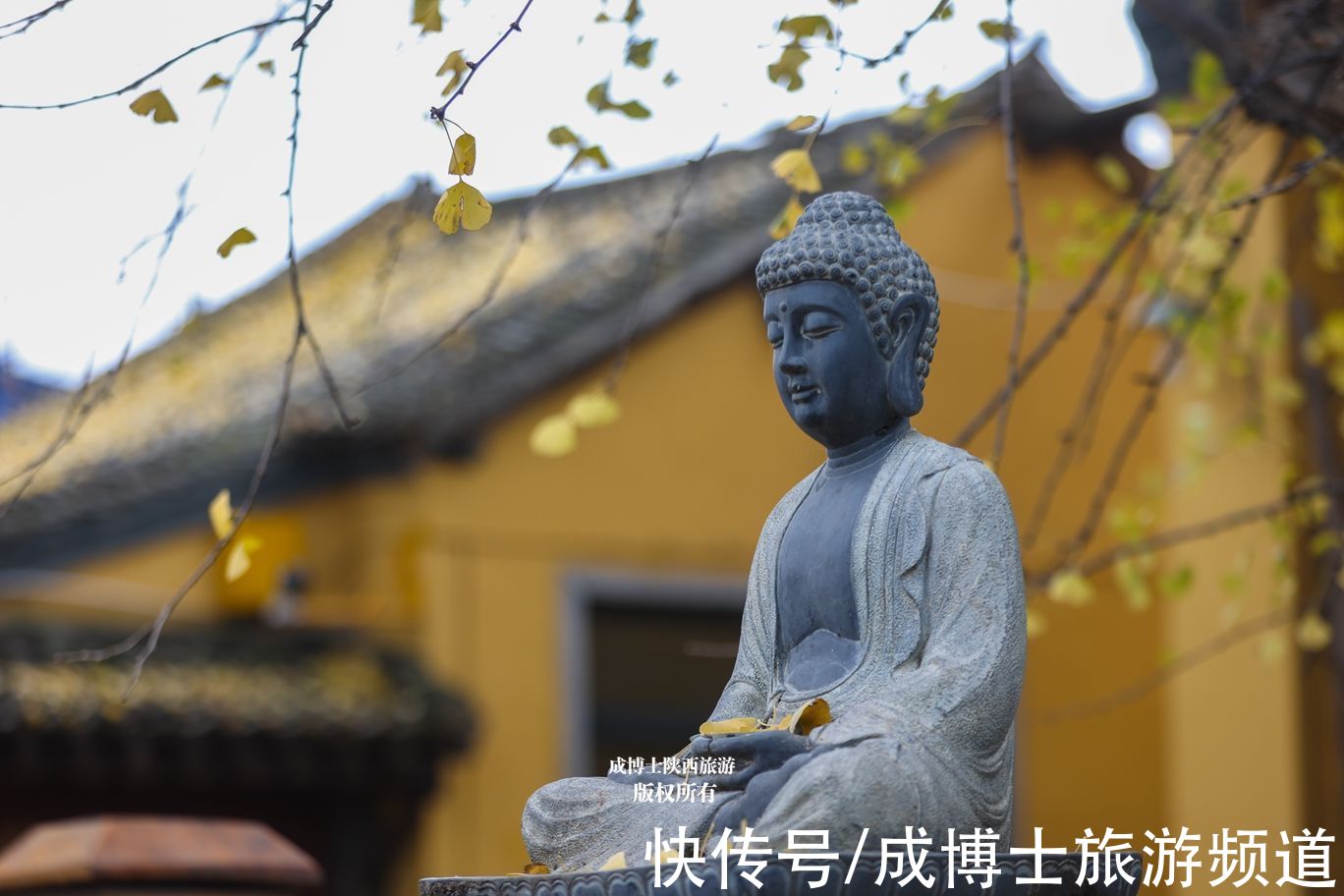 寺院|西安百塔寺为佛教三阶教祖庭，然而并没有塔，只有一棵千年银杏