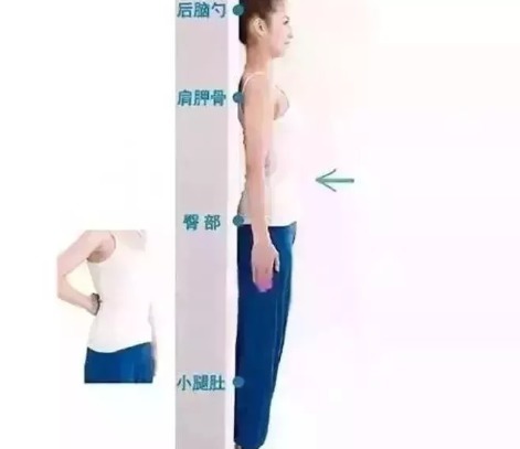 山药|吃一次刮一整天的油！春节吃出来的赘肉、血脂统统吃回去