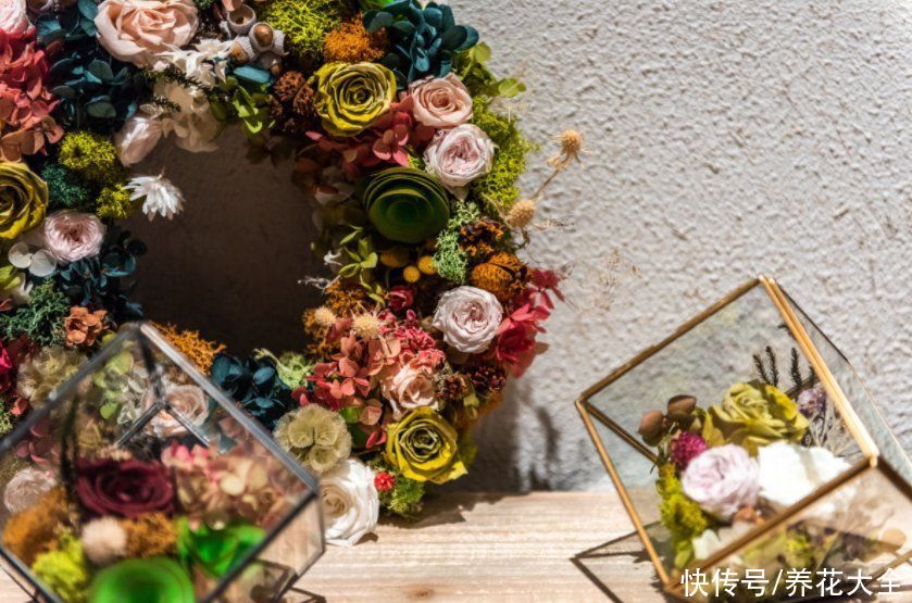 花材|鲜花做成干花，颜色质感有特点，还可以放在家中点缀