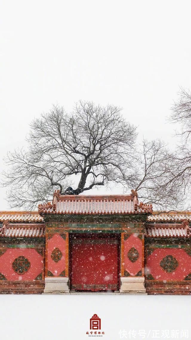 故宫|一夜梦回紫禁城!故宫雪景大片来了