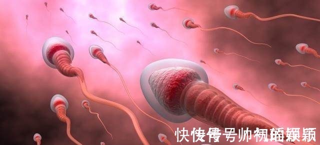 生育|男人也有最佳生育年龄,不管一胎二胎,尽量别超过“这个岁数”!