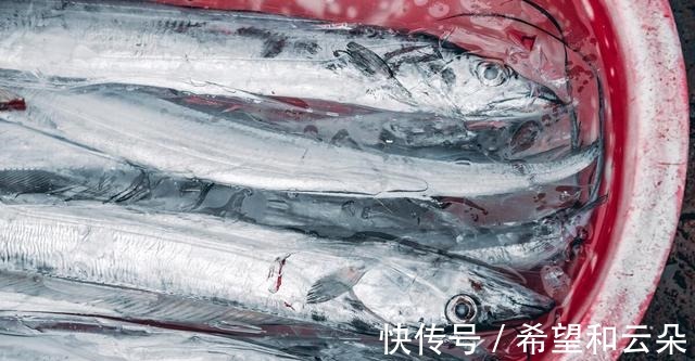 买带鱼时,要分清“黄眼”和“白眼”,差距挺大,弄懂再买不吃亏!