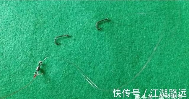 浮漂上有信号,就是提不上鱼,多数是这五个原因导致!