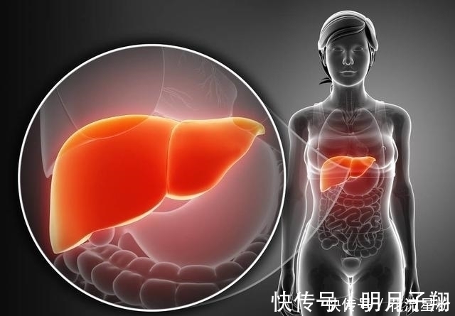 诊断|出现胆囊不适?需引起重视,及时检查诊断才是正确选择