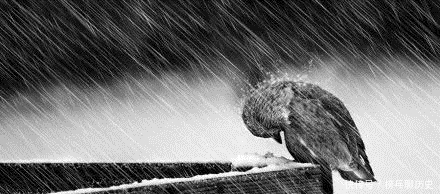 江山不易更改,而比江山更难移的是本性