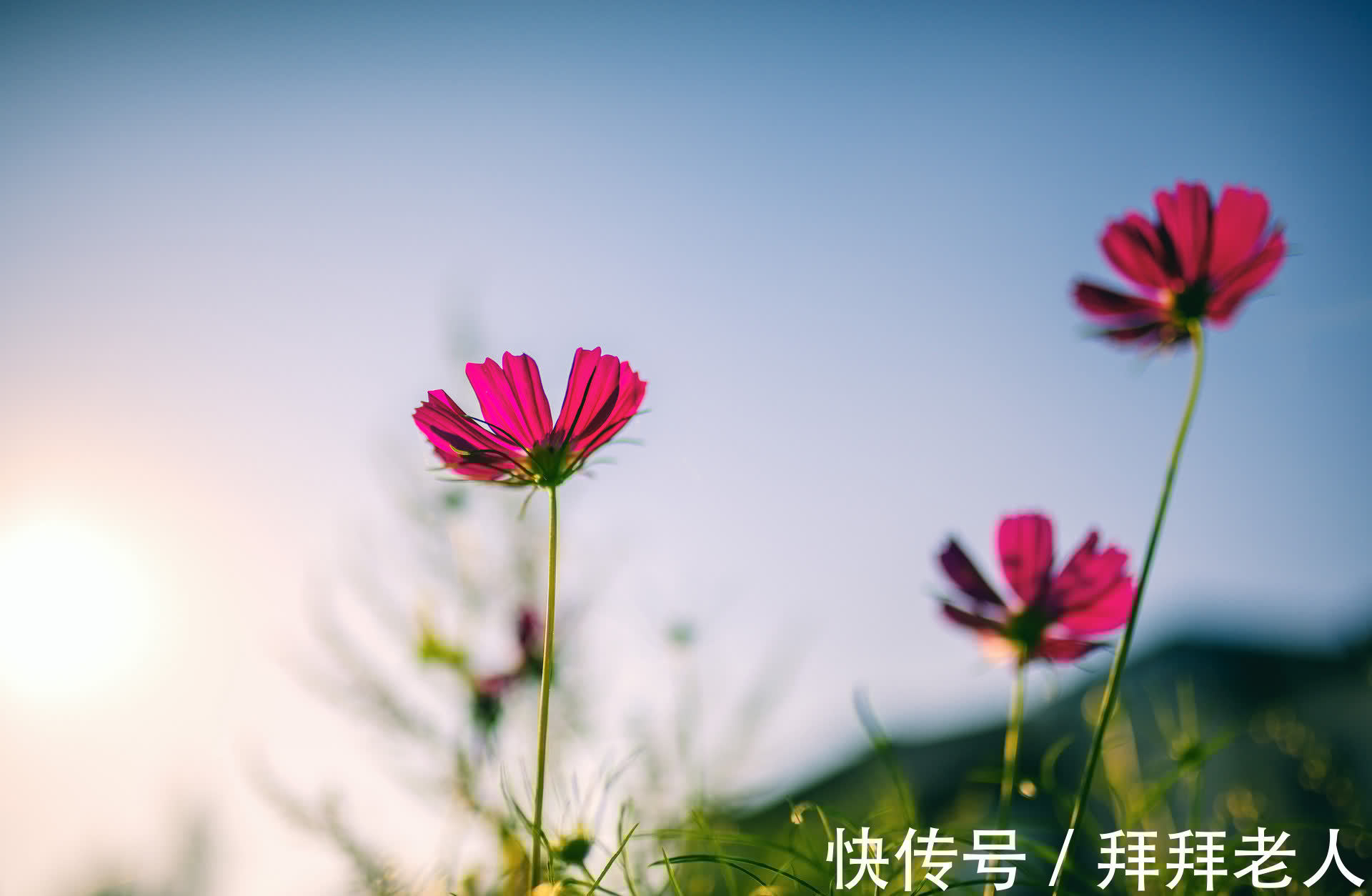 哈佛商学院|聪明的女人,都喜欢这样去“断舍离”