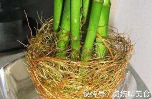用“土方法”制作的花肥,才是养花“万能肥”,养啥旺啥
