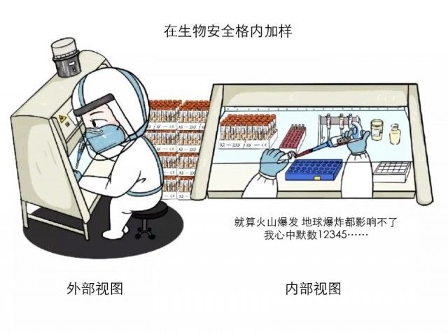 标本|核酸的检测有多麻烦？看完都不好意思催结果了