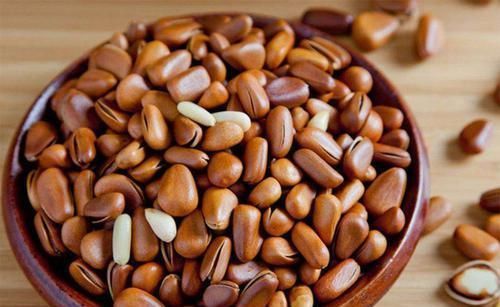 不饱和脂肪酸|长寿果营养高,软化血管,乌发安神治便秘,头晕腰酸要多吃!