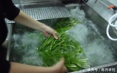 小窍门|用这2种“肥水”养花，比淘米水食醋水靠谱的多，养啥花都“旺”