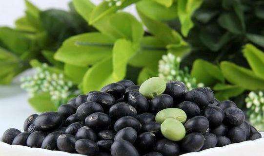 黑豆粉|黑豆此种吃法，养血平肝，补虚益肾，软化血管，好处数不胜数！