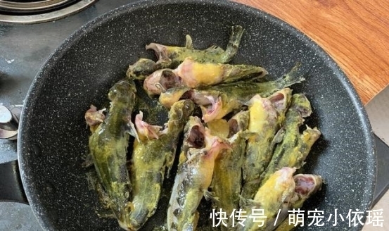 无论炖什么鱼,都不要放这“两种调料”,搞错了鱼又腥又难吃