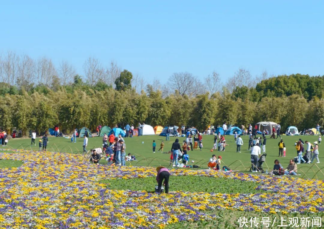 如潮|暖风吹，花香浓！节后首个休息日，世纪公园人气旺