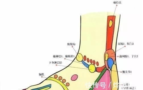 脏腑|入冬后泡脚，点燃人体第2个太阳！但泡脚有门道，学会冬天不生病