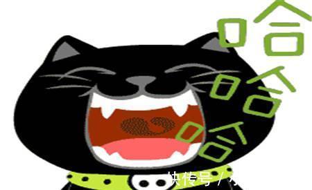 |幽默笑话:不知道什么原因,人事部的女经理总是喜欢找我的茬