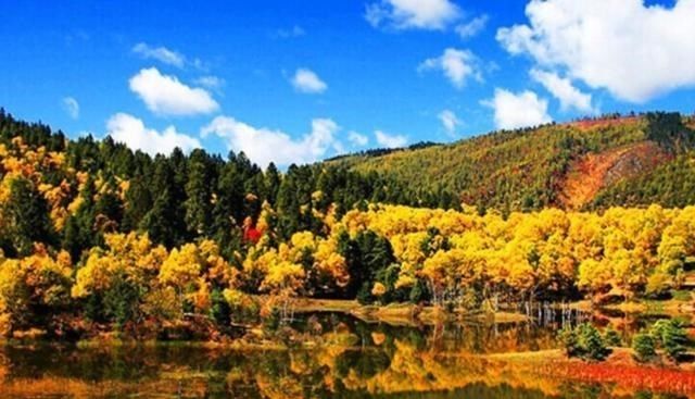 云南一大型公园火了，距香格里拉市城区22公里，位列5A门票40元