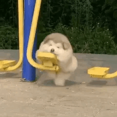 划掉你就草率了！天雷滚滚，我要公开那些全网爆火的雷品