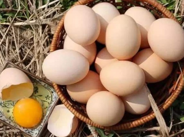 早餐吃“鸡蛋”的人注意了,这有3点误区,现在还有人再犯