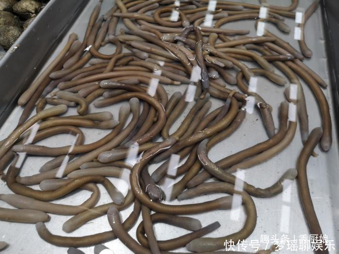 带鱼|过年吃鱼,就买此3种鱼,到现在也没法人工养殖,便宜吃着还放心