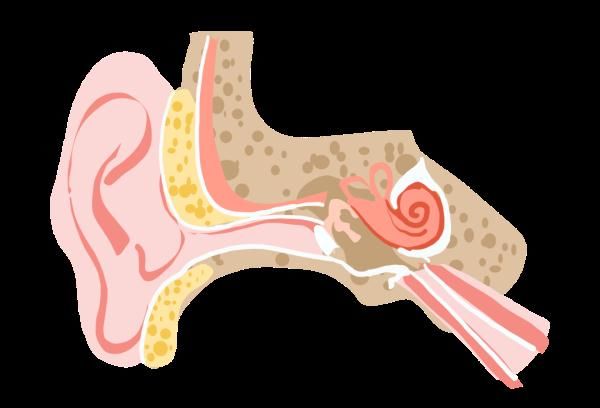 习惯|浙江一男子耳朵里长满“苔藓”!他这个习惯很多人都有…
