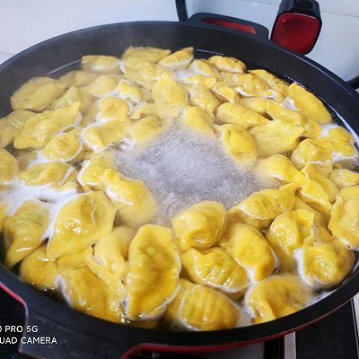 营养均衡|猪肉豆角饺子