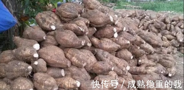 维他命女人不要太节省!常吃4种“零食”,补充雌激素,呵护卵巢抗衰老