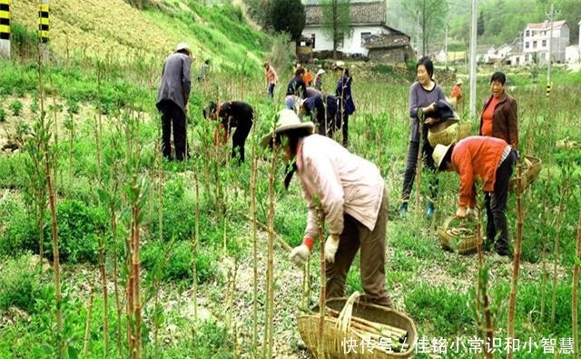  国外|它在国内的名气很大，国外却臭名昭著，80后把它当做零食来吃