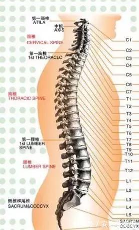 碳酸饮料|解决颈椎病的方法,就这么简单,你学会了吗?