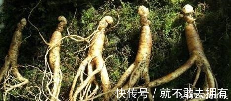 人身安全|古代大内侍卫的6个秘密，除了实力高强，这一点普通人几乎通不过