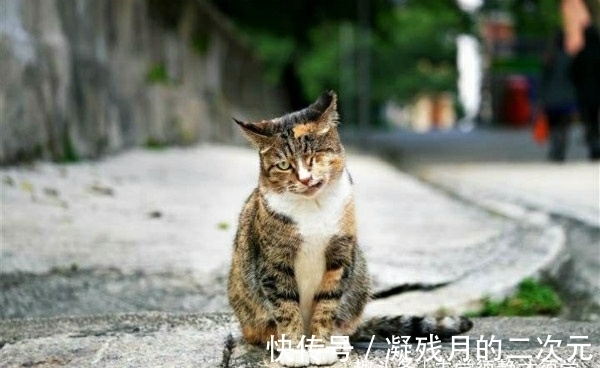 |搞笑内涵笑话:去丈母娘家,我看到老丈人被罚站,我笑了!