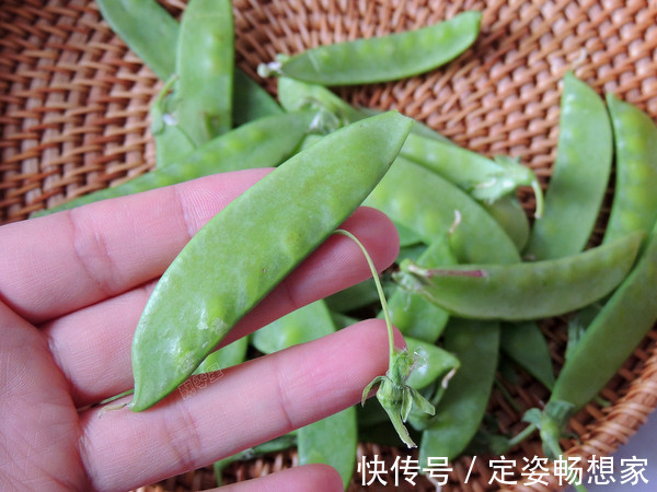 荷兰豆|这三样食材一起炒,脂肪最怕见到它,晚餐这么吃,衣服改穿小一码