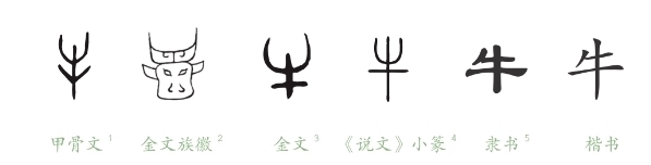 涨知识:牛为什么“牛”,话说农耕中的牛