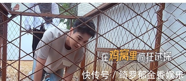 《最后的赢家》步入正轨,嘉宾逐渐熟悉,节目内容呈现增加趣味性