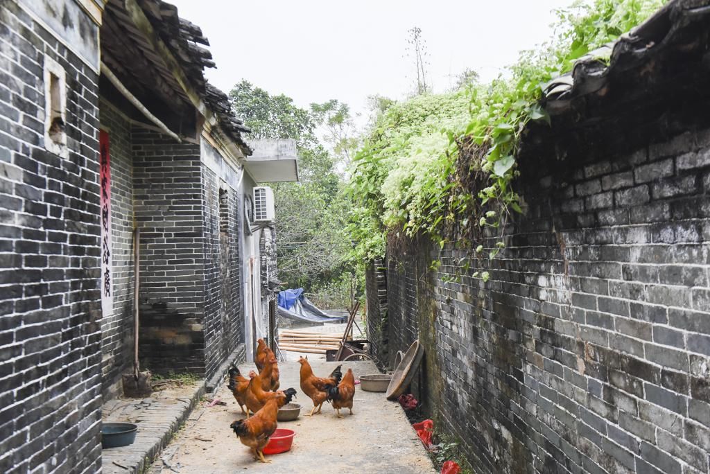 乡村|穿红裙到乡村旅游，吓得村民一哆嗦，这座百年村庄其实时光静好